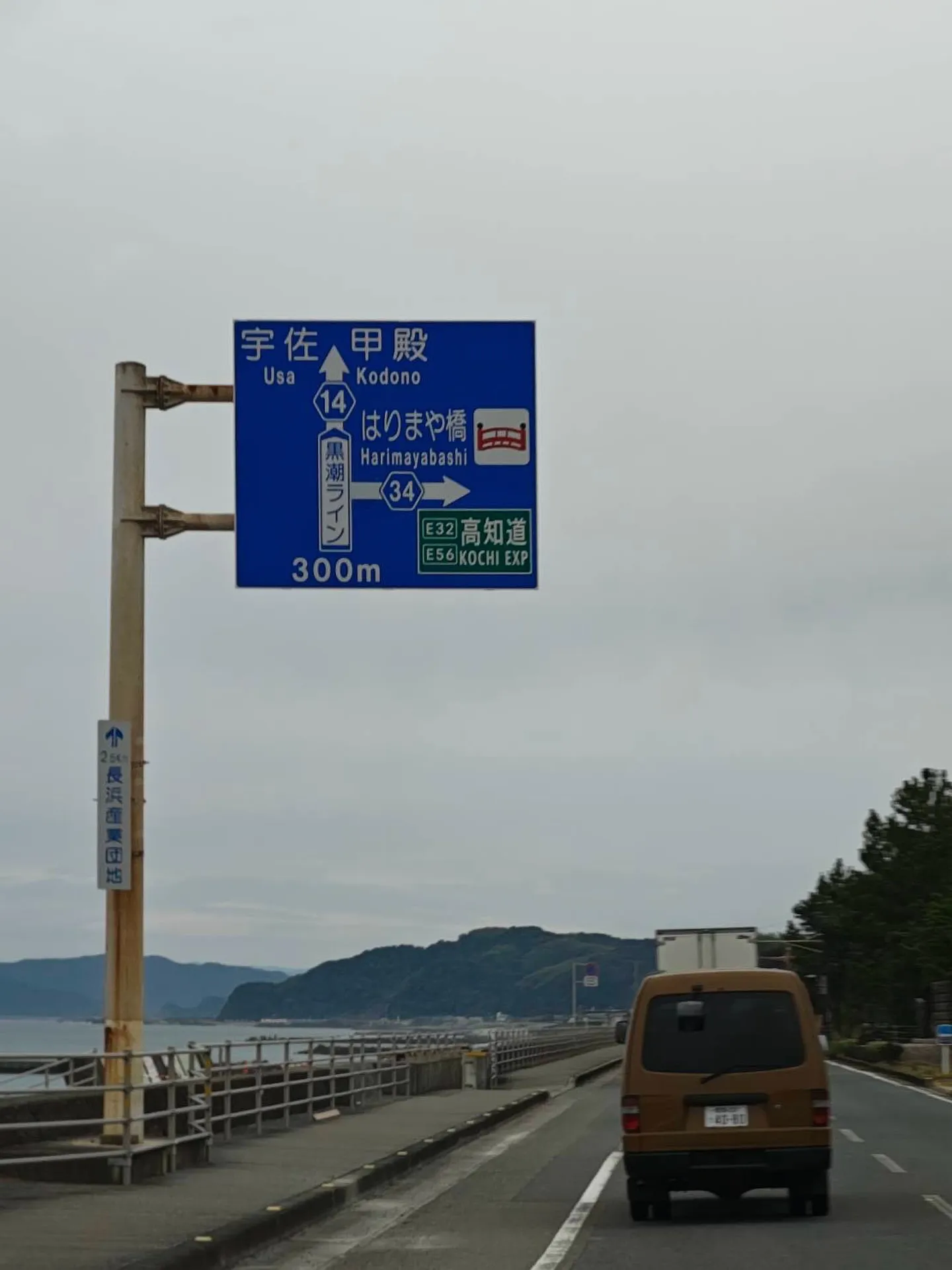 毎月だいたい5日は高知の業者市場へ😮‍💨