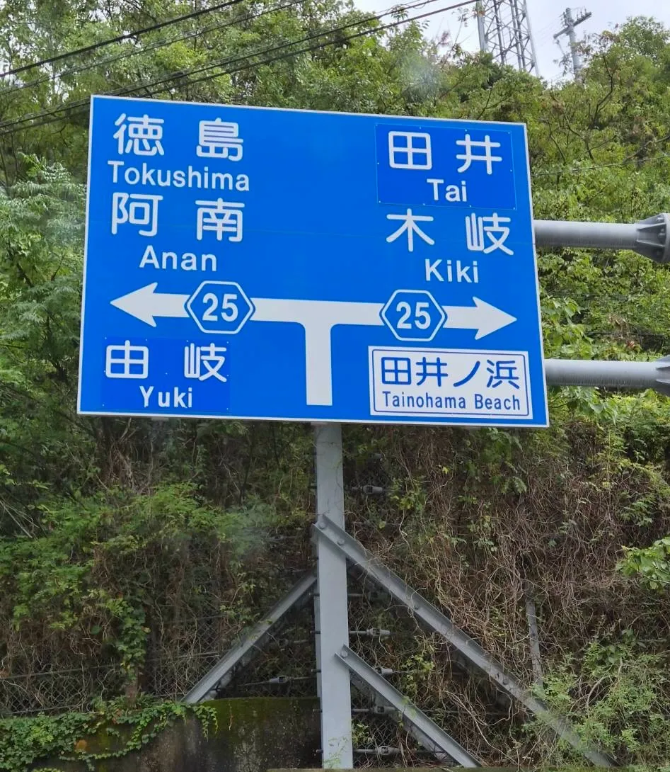 作業中、曇りで何よりでした！
