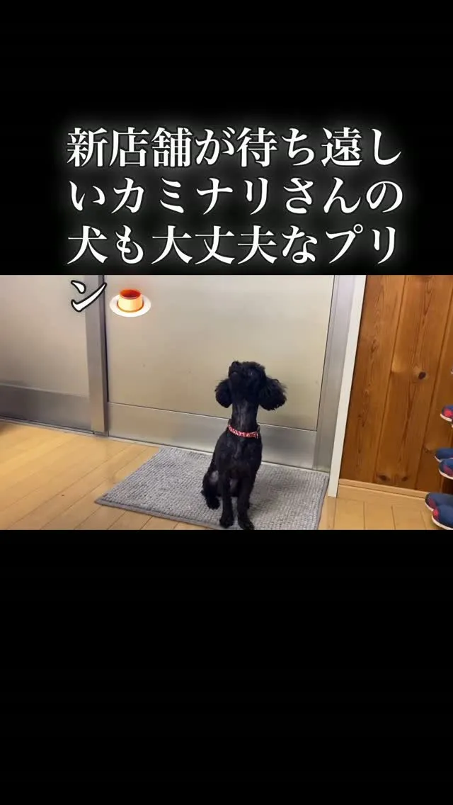 HP以来のチーズ登場！